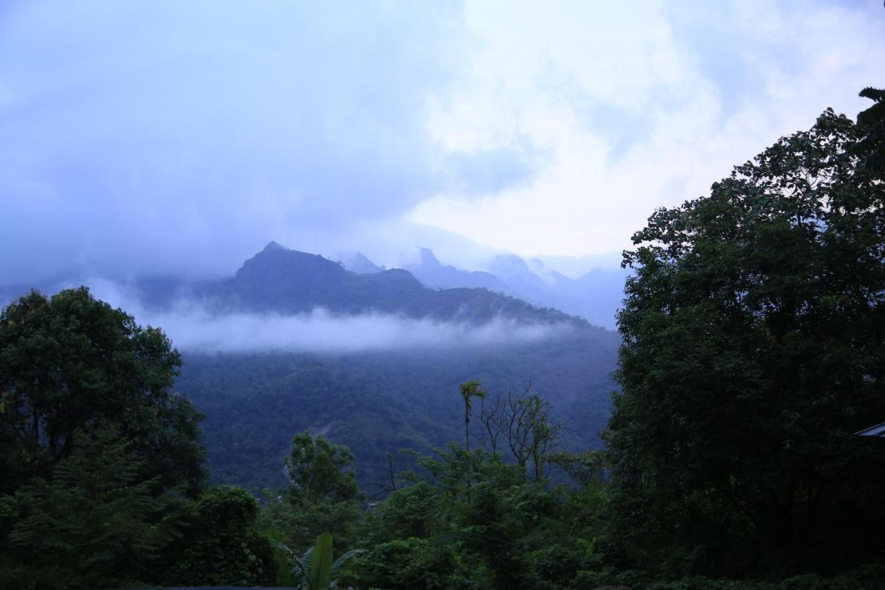 Sattva-The Awakening Garden Kakkadampoyil Exterior photo
